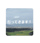 景色とときどき食べ物スタンプ（個別スタンプ：13）