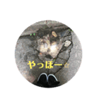 景色とときどき食べ物スタンプ（個別スタンプ：14）