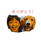 レトリバー 蓮（個別スタンプ：1）