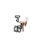 愛しのここ（個別スタンプ：2）