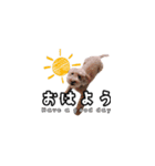 愛しのここ（個別スタンプ：9）