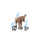 愛しのここ（個別スタンプ：11）