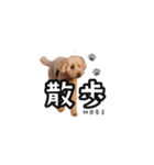 愛しのここ（個別スタンプ：13）