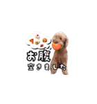 愛しのここ（個別スタンプ：14）