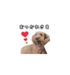 愛しのここ（個別スタンプ：15）