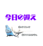 家族連絡 インコ1（個別スタンプ：5）