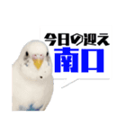 家族連絡 インコ1（個別スタンプ：7）