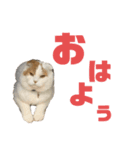 前ちゃんスタンプ2（個別スタンプ：10）