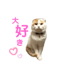 前ちゃんスタンプ2（個別スタンプ：13）