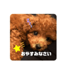 壱様 スタンプ①（個別スタンプ：5）