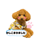 壱様 スタンプ①（個別スタンプ：8）