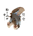 おんちんIII（個別スタンプ：17）
