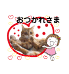 Ginger Tabby Cat Brothers 8（個別スタンプ：3）