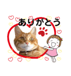 Ginger Tabby Cat Brothers 8（個別スタンプ：5）