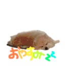 マメ吉たち♡（個別スタンプ：9）