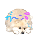 マメ吉たち♡（個別スタンプ：20）
