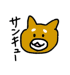 柴犬きんちゃん（個別スタンプ：4）