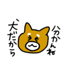 柴犬きんちゃん（個別スタンプ：16）