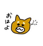 柴犬きんちゃん（個別スタンプ：18）