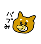 柴犬きんちゃん（個別スタンプ：19）