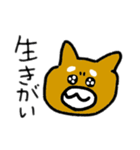 柴犬きんちゃん（個別スタンプ：20）