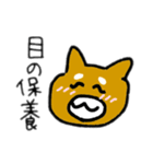 柴犬きんちゃん（個別スタンプ：21）