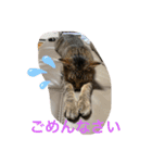 ネコたちの可愛い返事シリーズ1（個別スタンプ：6）