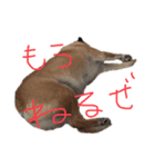 小梅のほのぼの日常no1（個別スタンプ：2）