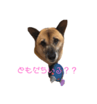 小梅のほのぼの日常no1（個別スタンプ：5）