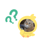 猫のうにくん 3（個別スタンプ：2）