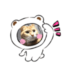 猫のうにくん 3（個別スタンプ：6）