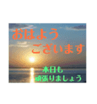 上司や目上の方に使えるスタンプ（個別スタンプ：1）