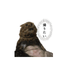 はっちゃんと愉快な仲間たち（個別スタンプ：1）