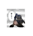 はっちゃんと愉快な仲間たち（個別スタンプ：2）