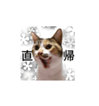 はっちゃんと愉快な仲間たち（個別スタンプ：4）