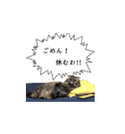 はっちゃんと愉快な仲間たち（個別スタンプ：10）