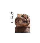 はっちゃんと愉快な仲間たち（個別スタンプ：12）