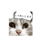 はっちゃんと愉快な仲間たち（個別スタンプ：14）