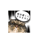 はっちゃんと愉快な仲間たち（個別スタンプ：15）