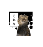はっちゃんと愉快な仲間たち（個別スタンプ：16）