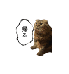 はっちゃんと愉快な仲間たち（個別スタンプ：20）