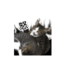 はっちゃんと愉快な仲間たち（個別スタンプ：21）