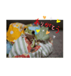 ぴょんとかーくんの日常(改良版)（個別スタンプ：24）