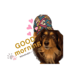 Annwin♡（個別スタンプ：1）