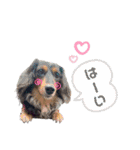 Annwin♡（個別スタンプ：6）