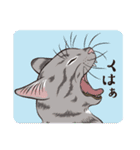 江戸ねこぐらし（個別スタンプ：11）