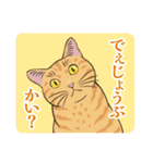 江戸ねこぐらし（個別スタンプ：13）