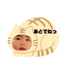 未来・希望（個別スタンプ：25）