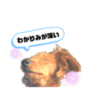 ありあのきもち。2（個別スタンプ：5）