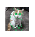 でぷねこのポヨ（個別スタンプ：11）